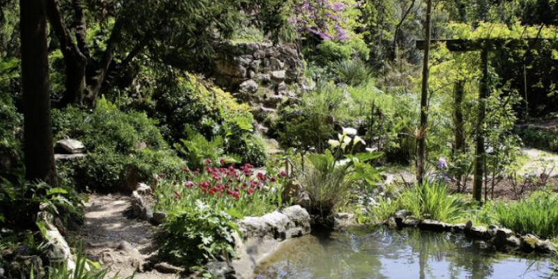 Kulinarische Segelreise